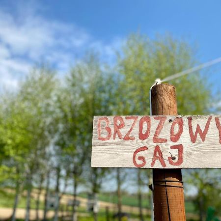 Vila Brzozowy Gaj Bachowice Exteriér fotografie