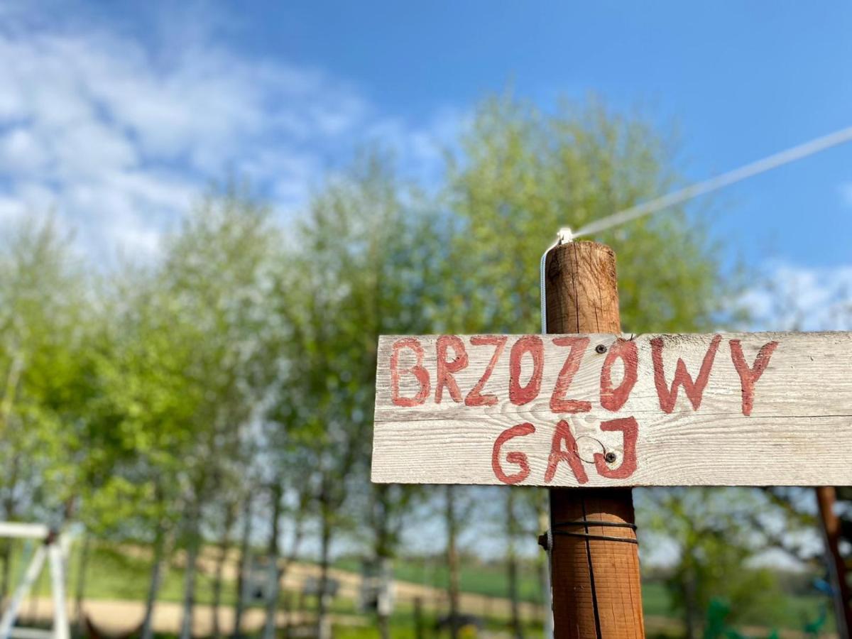 Vila Brzozowy Gaj Bachowice Exteriér fotografie