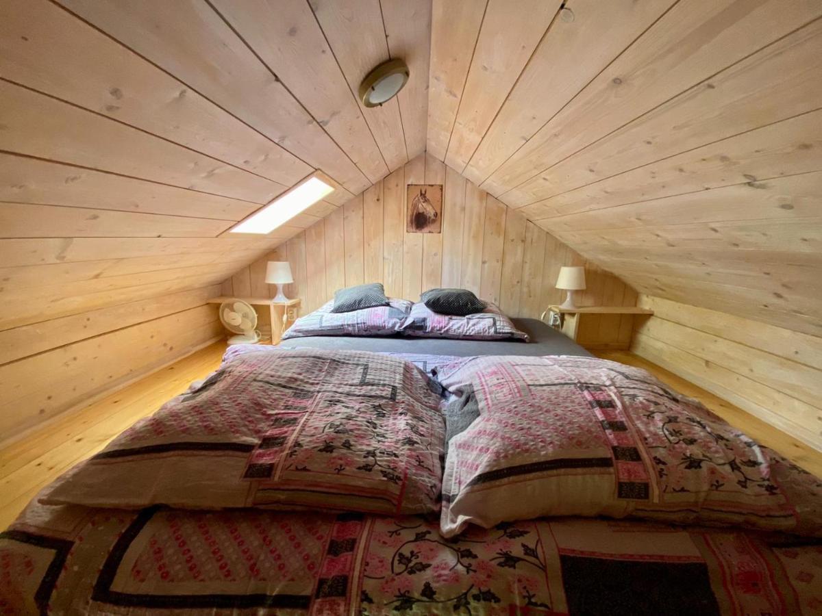 Vila Brzozowy Gaj Bachowice Exteriér fotografie