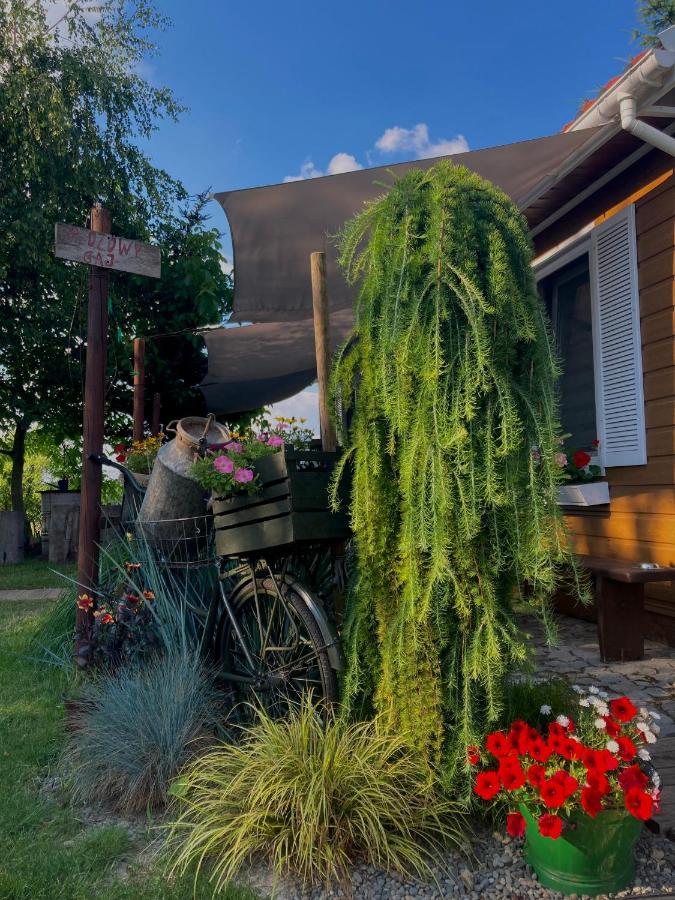 Vila Brzozowy Gaj Bachowice Exteriér fotografie