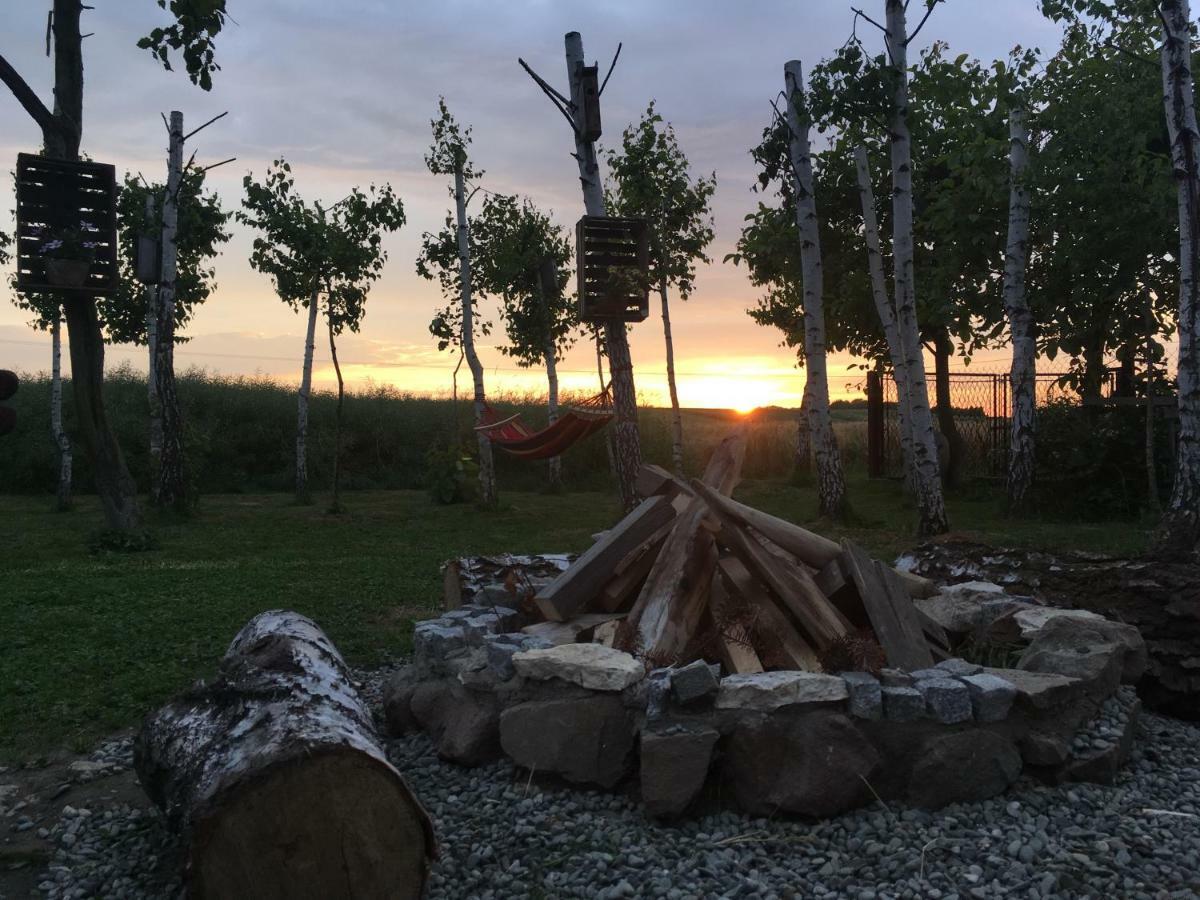 Vila Brzozowy Gaj Bachowice Exteriér fotografie